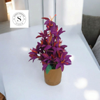 purple