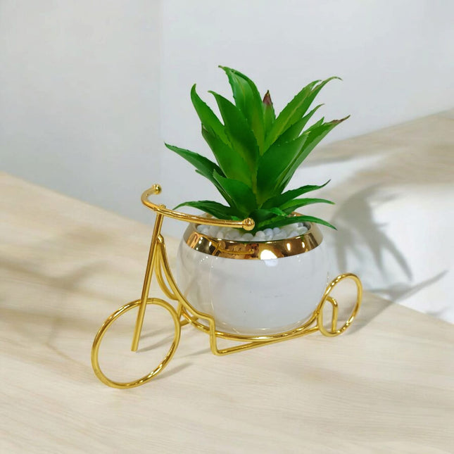 Flower Pot