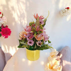 Flower Pot 1