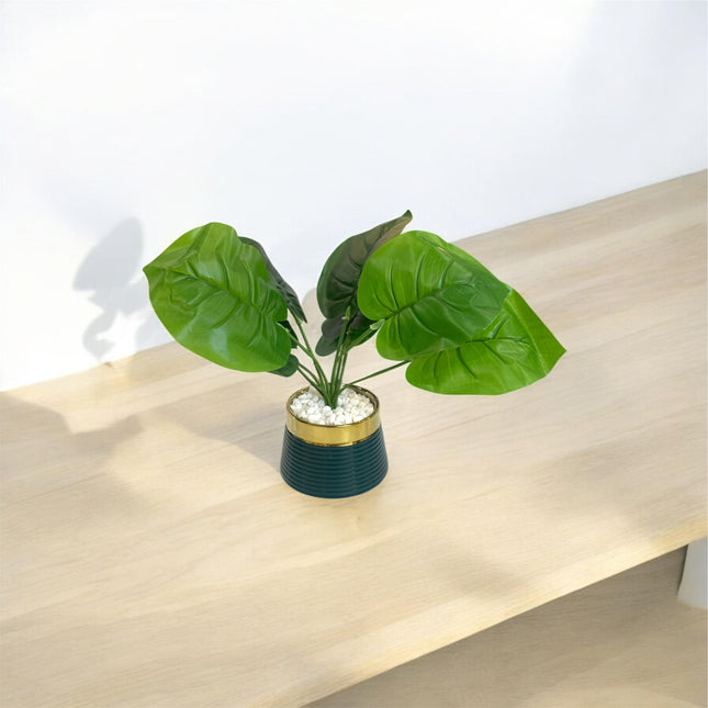 Flower Pot