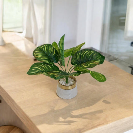 Flower Pot